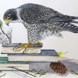 Renewal (Peregrine Falcon and Bristlecone Pine)